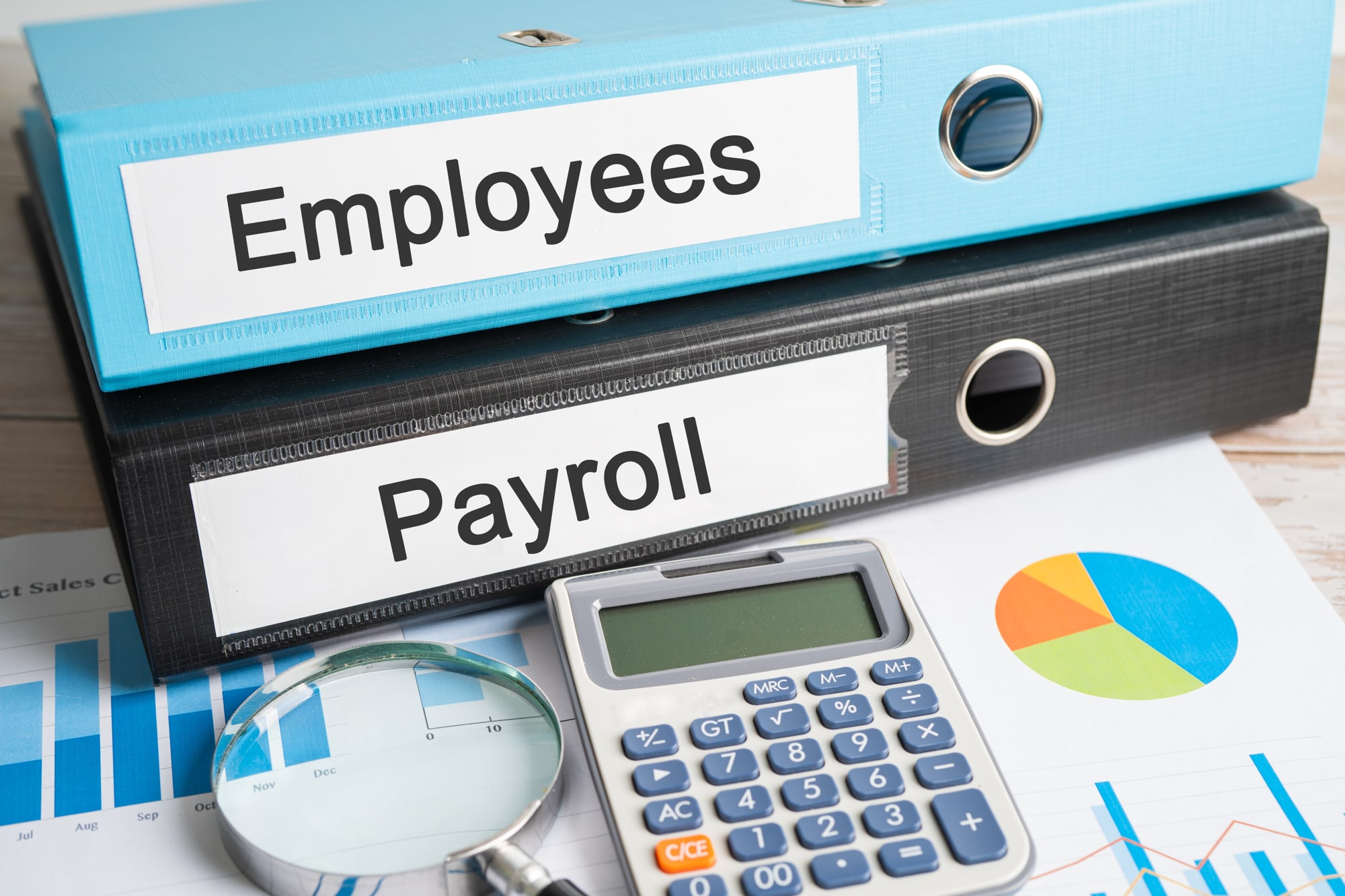 Payroll For Employees